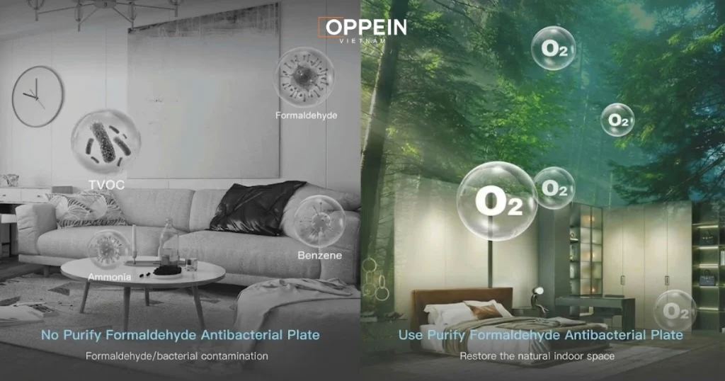 Tác động của Formaldehyde đối với sức khỏe con người